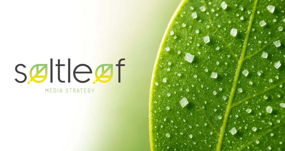Salt Leaf Media Strategy - Gestiamo e facciamo crescere siti editoriali